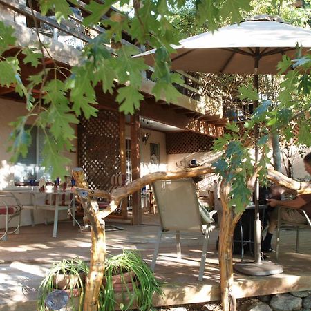 ג'וליאן Wikiup Hummingbird Hotel מראה חיצוני תמונה