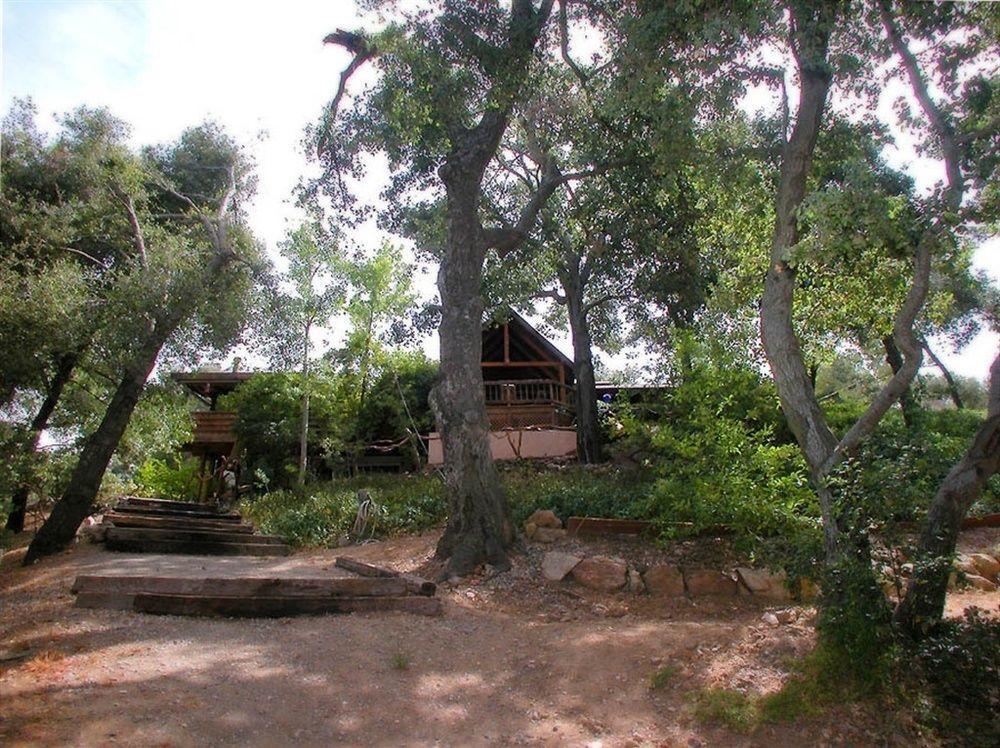 ג'וליאן Wikiup Hummingbird Hotel מראה חיצוני תמונה