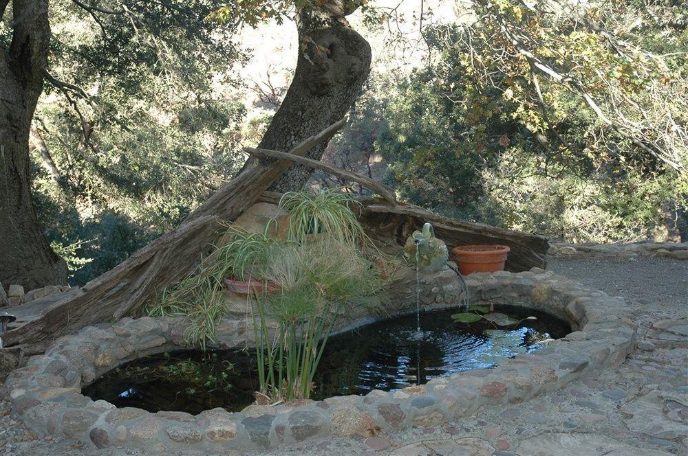 ג'וליאן Wikiup Hummingbird Hotel מראה חיצוני תמונה