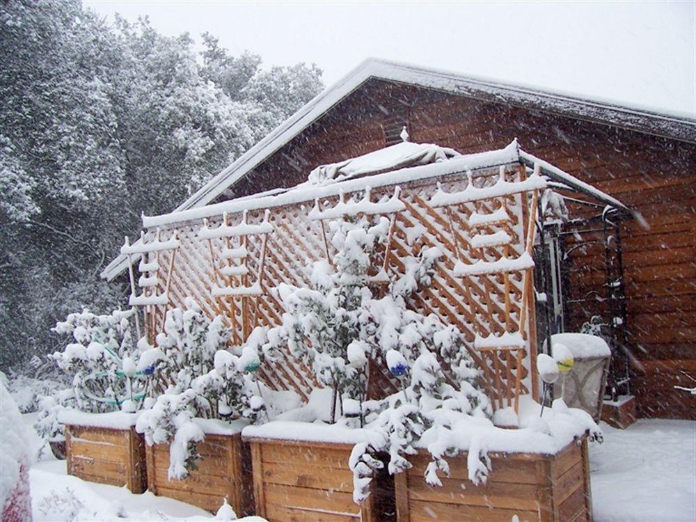 ג'וליאן Wikiup Hummingbird Hotel מראה חיצוני תמונה