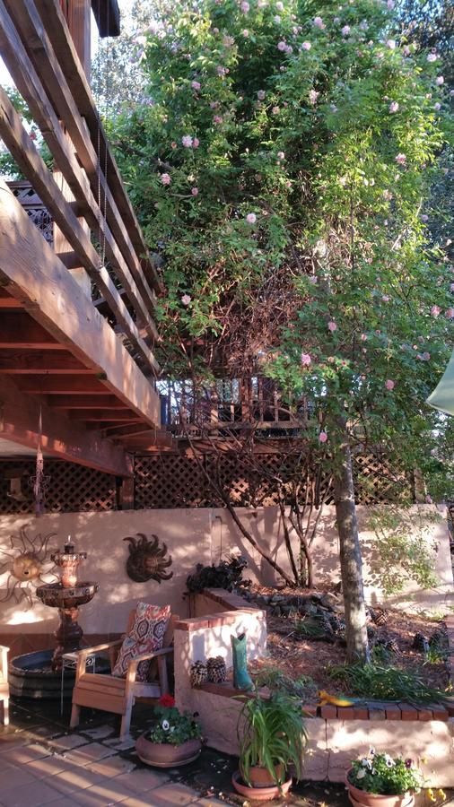 ג'וליאן Wikiup Hummingbird Hotel מראה חיצוני תמונה