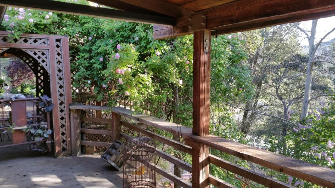 ג'וליאן Wikiup Hummingbird Hotel מראה חיצוני תמונה